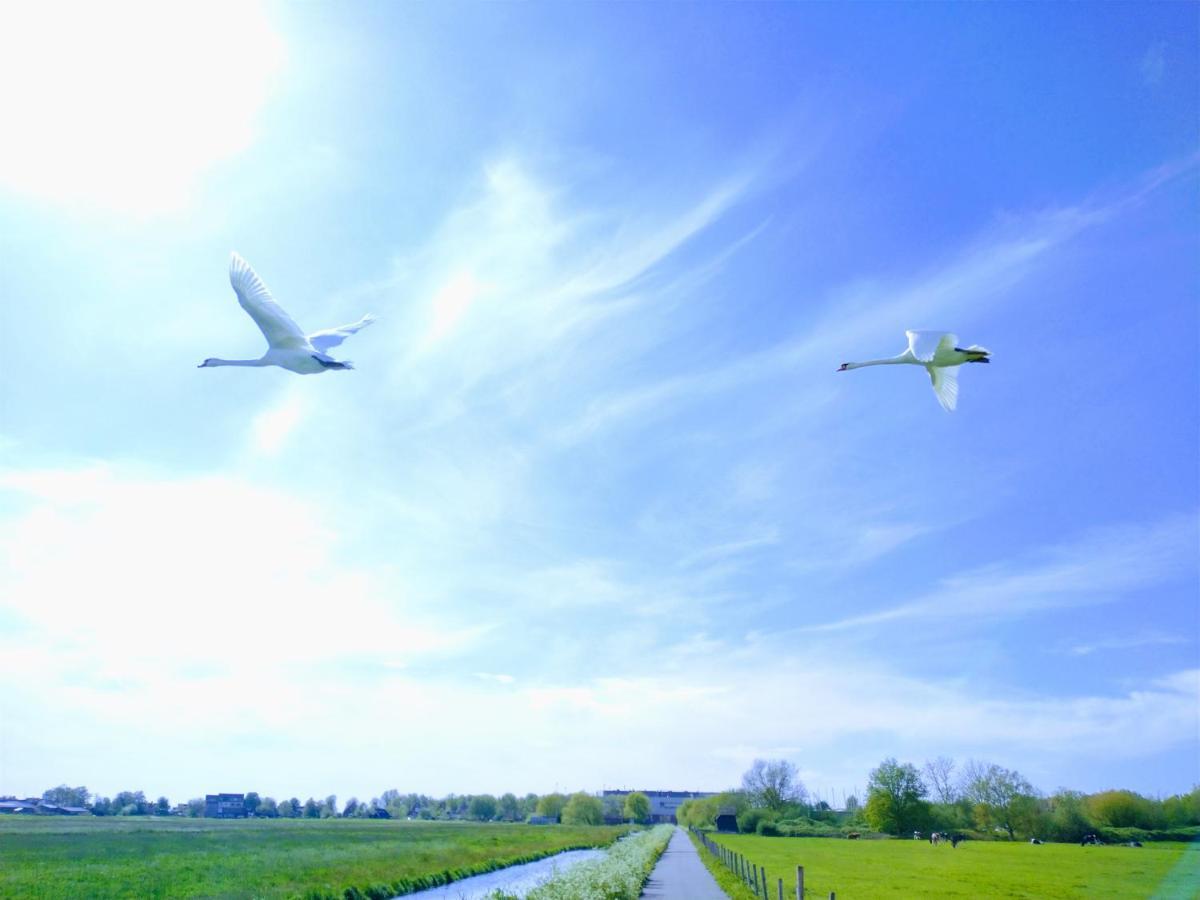 B&Bslapenopeeneiland Kaag Luaran gambar