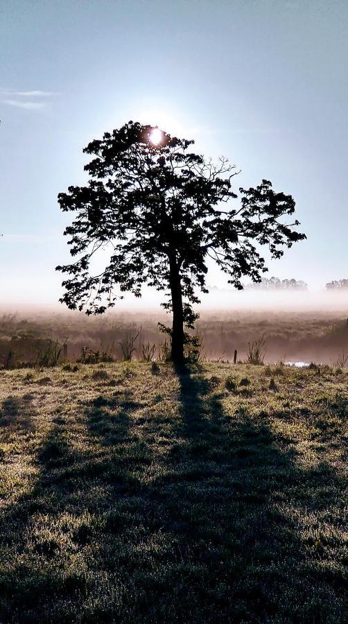B&Bslapenopeeneiland Kaag Luaran gambar